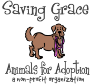 Featured Rescue June-August 2022 - Saving Grace