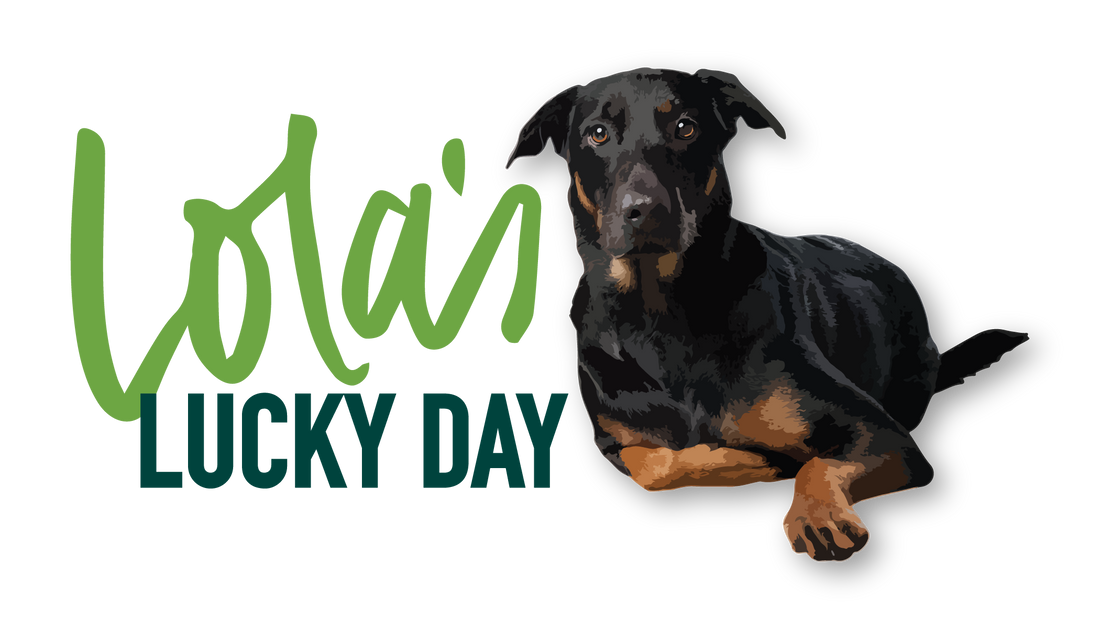 The Lucky Dogs of Houston