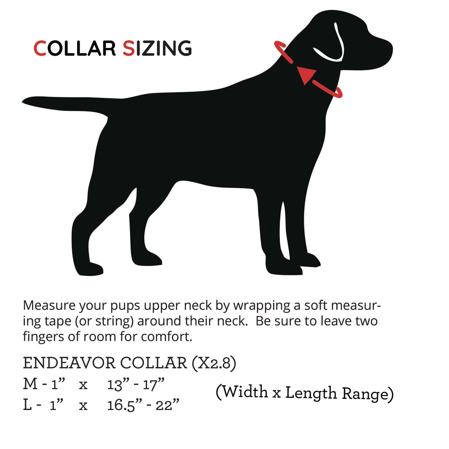 ENDEAVOR X2.8 Collar (Clearance)