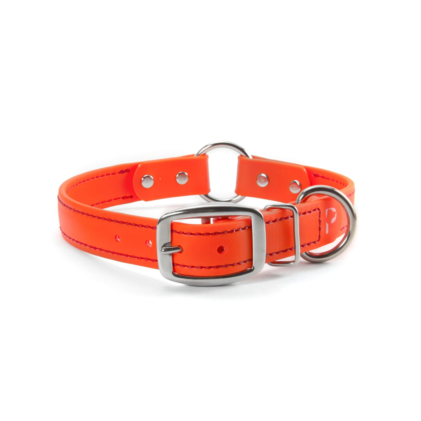 The Original PACKT Collar (Clearance)