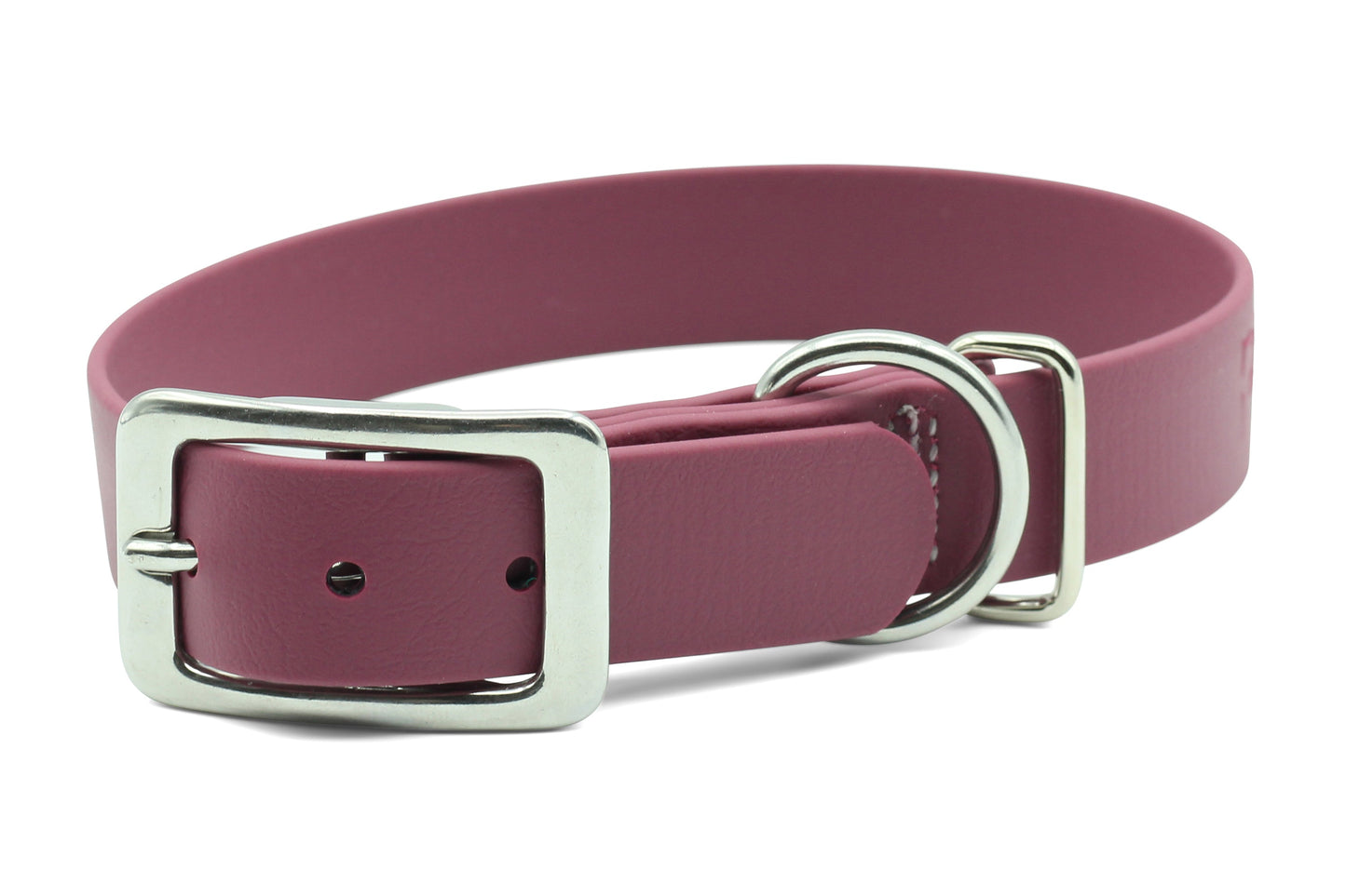 ASCENT - Classic Collar (Clearance)
