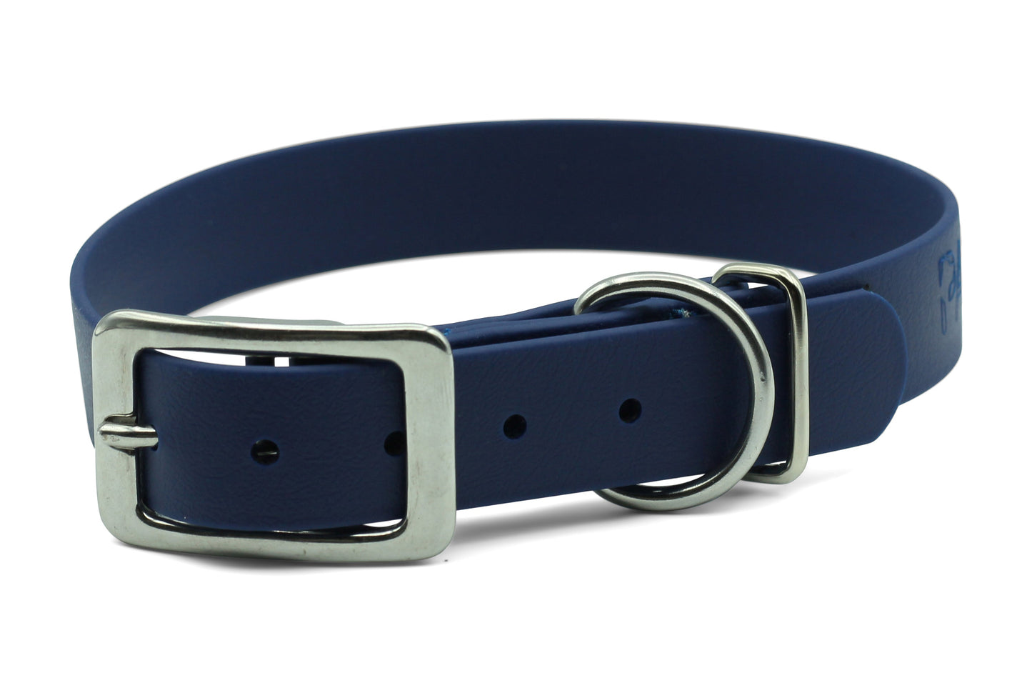 ASCENT - Classic Collar (Clearance)