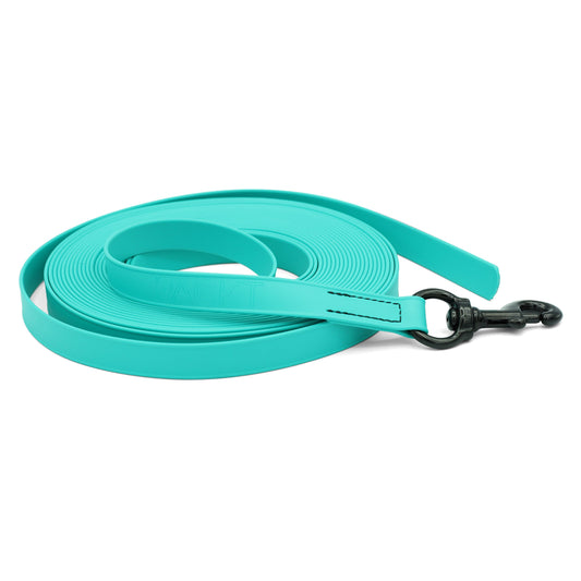 ENDEAVOR Long Line Training Leash (30 Ft.)