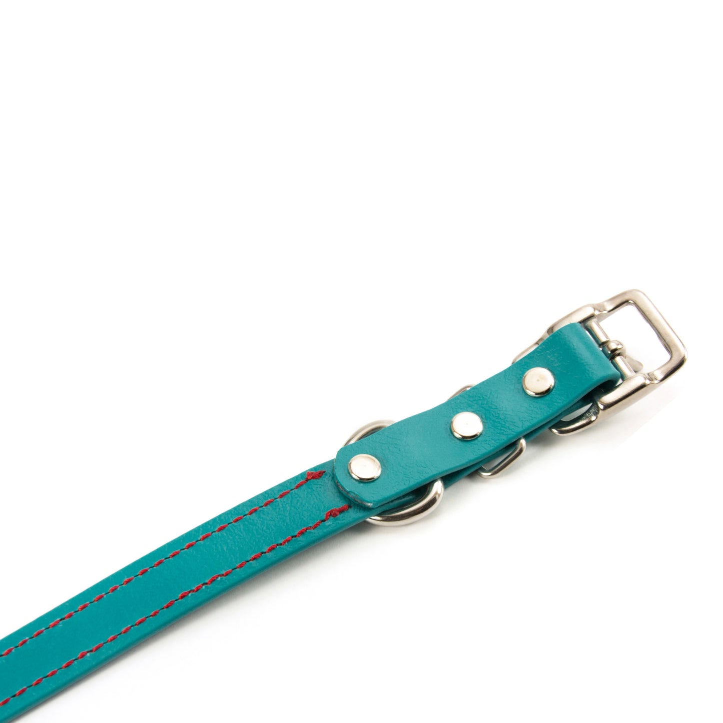 The Original PACKT Collar (Clearance)