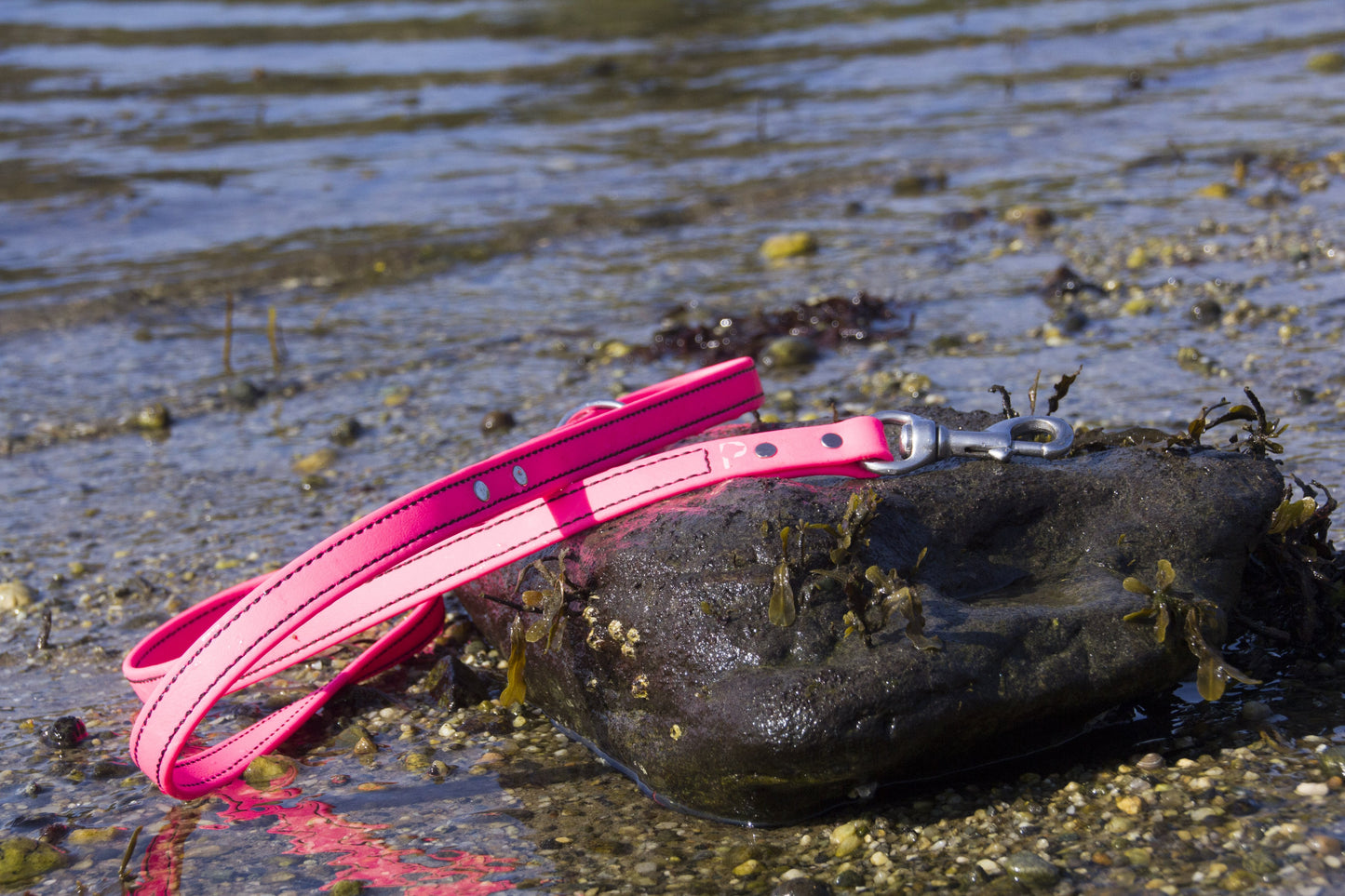Original Adventure Leash (Clearance)