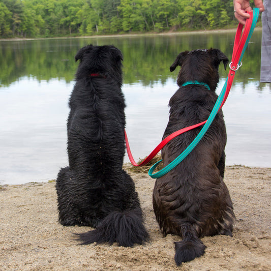 Original Adventure Leash (Clearance)