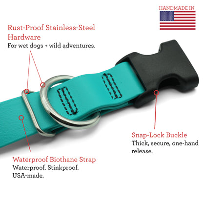 ENDEAVOR X2.8 Collar (Clearance)