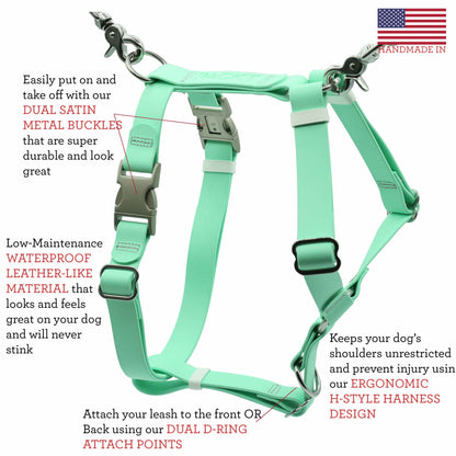ASCENT - Adventure Dog Harness