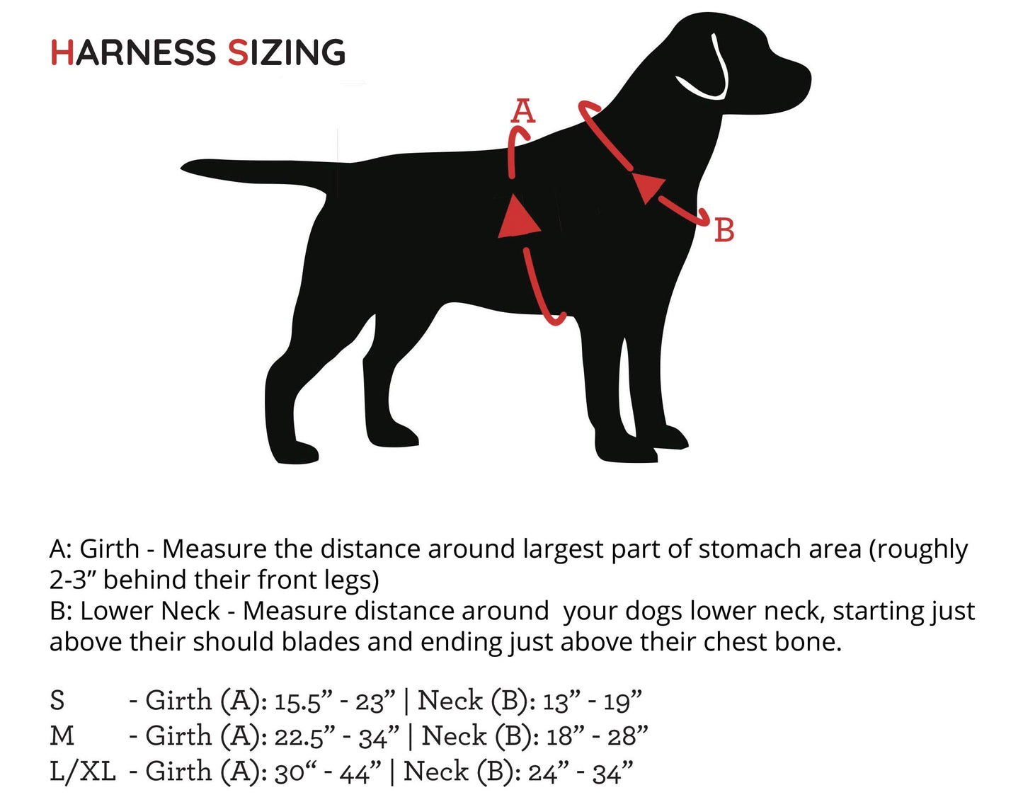 ASCENT - Adventure Dog Harness