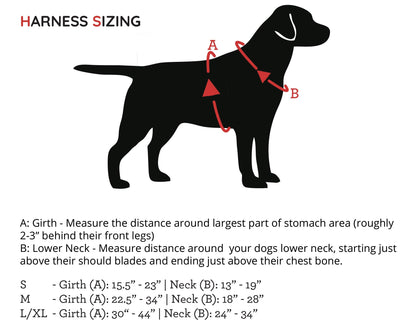 ASCENT - Adventure Dog Harness