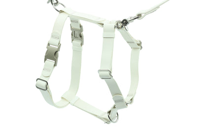 ASCENT - Adventure Dog Harness