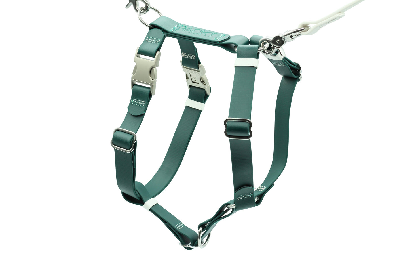 ASCENT - Adventure Dog Harness