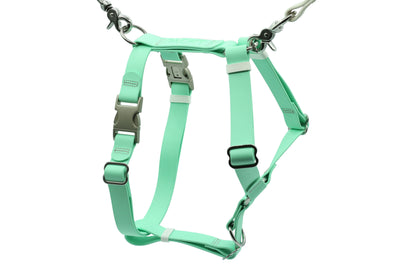 ASCENT - Adventure Dog Harness