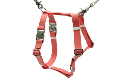 ASCENT - Adventure Dog Harness