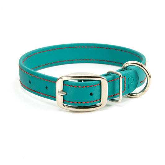 The Original PACKT Collar (Clearance)